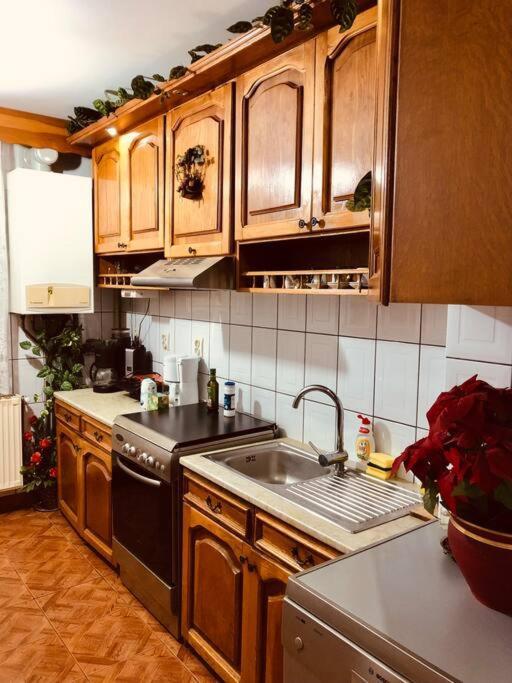 Joy City Stay Ferkel 7 Timisoara Esterno foto