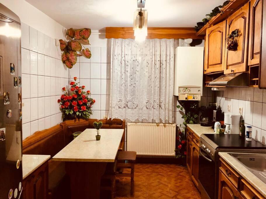 Joy City Stay Ferkel 7 Timisoara Esterno foto